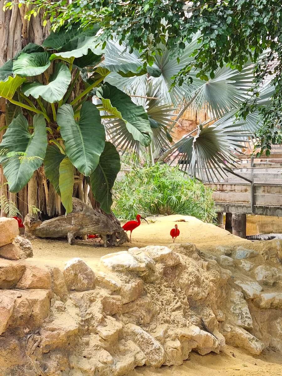 La Ferme aux Crocodiles, Provence La Ferme aux Crocodiles, Provence