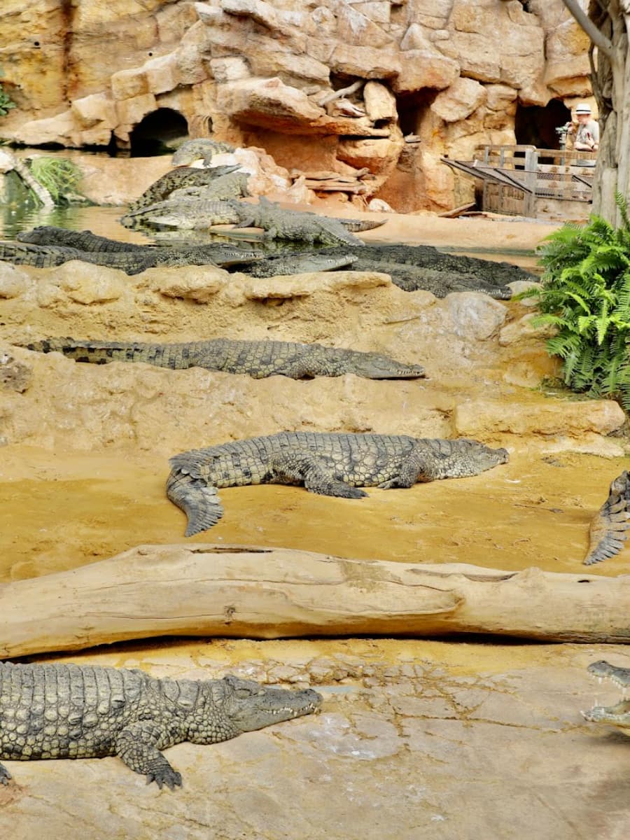La Ferme aux Crocodiles, Provence La Ferme aux Crocodiles, Provence