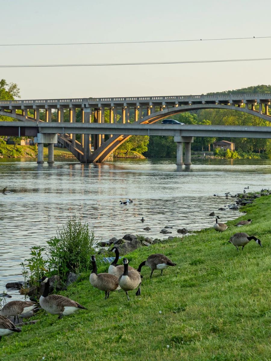 Lake Taneycomo, Branson MO