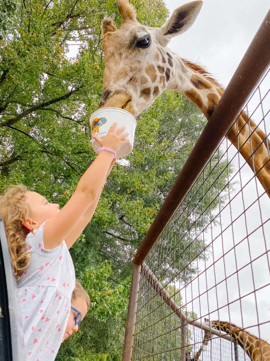 Lazy 5 Ranch, Charlotte, NC