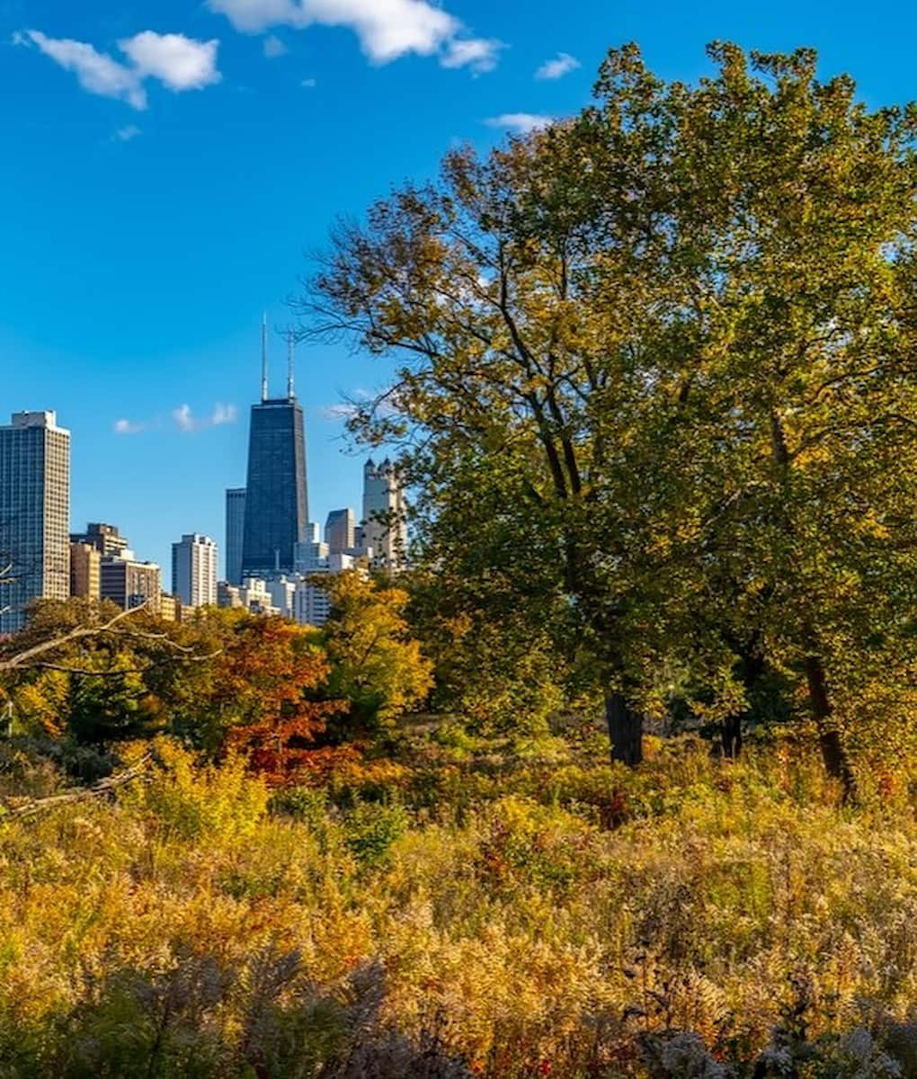 Lincoln Park, Chicago Lincoln Park, Chicago