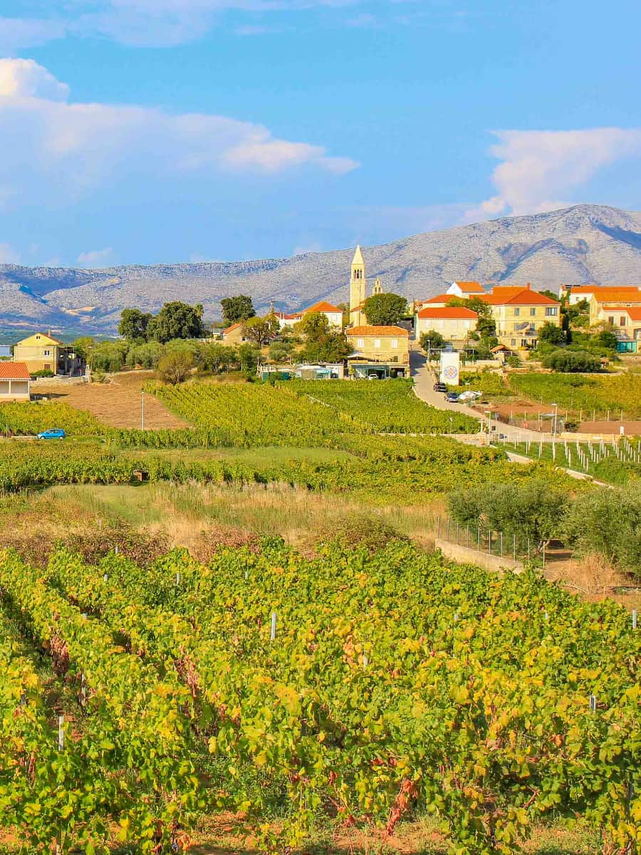 Lumbarda, Korcula Croatia