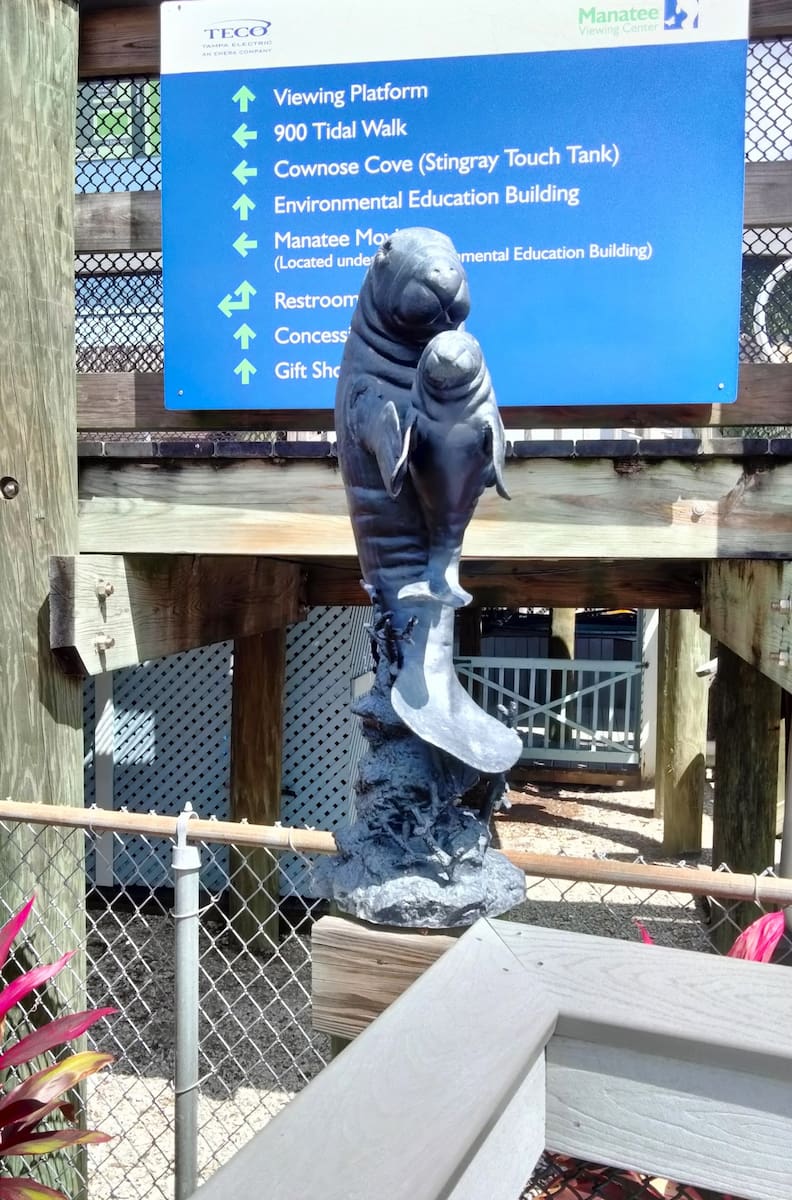 Manatee Viewing Center Tampa Manatee Viewing Center Tampa