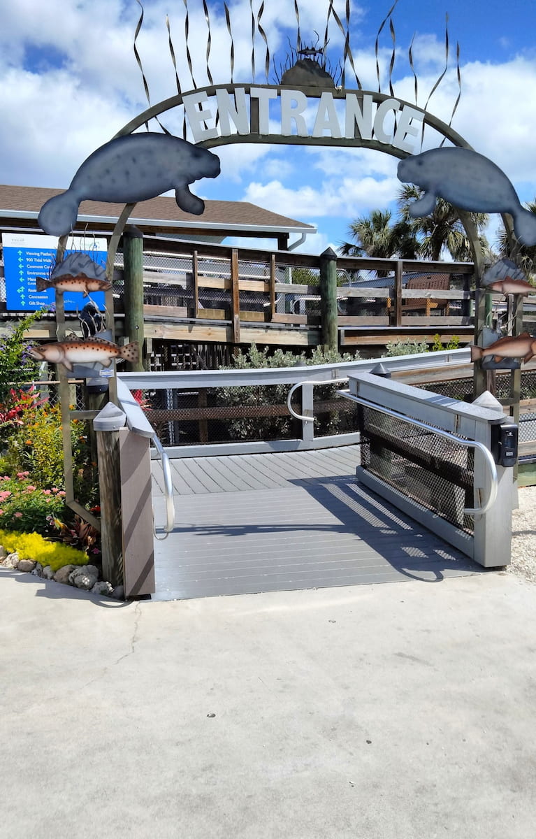 Manatee Viewing Center Tampa Manatee Viewing Center Tampa