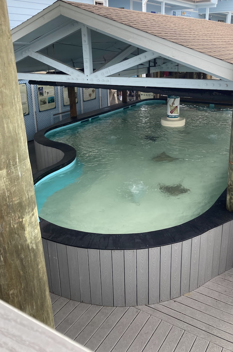 Manatee Viewing Center Manatee Viewing Center