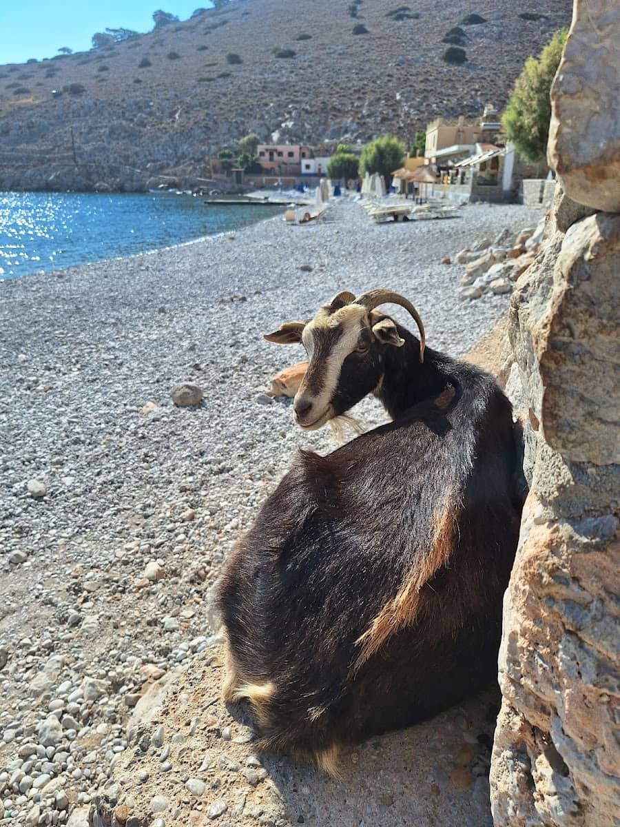 Marathounda beach, Symi