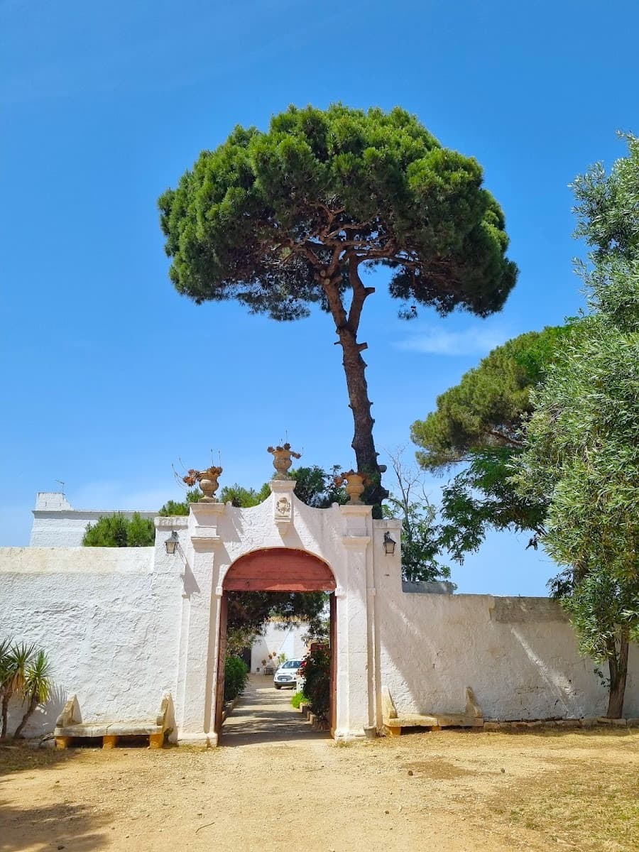 Masseria Brancati, Ostunia Masseria Brancati, Ostunia
