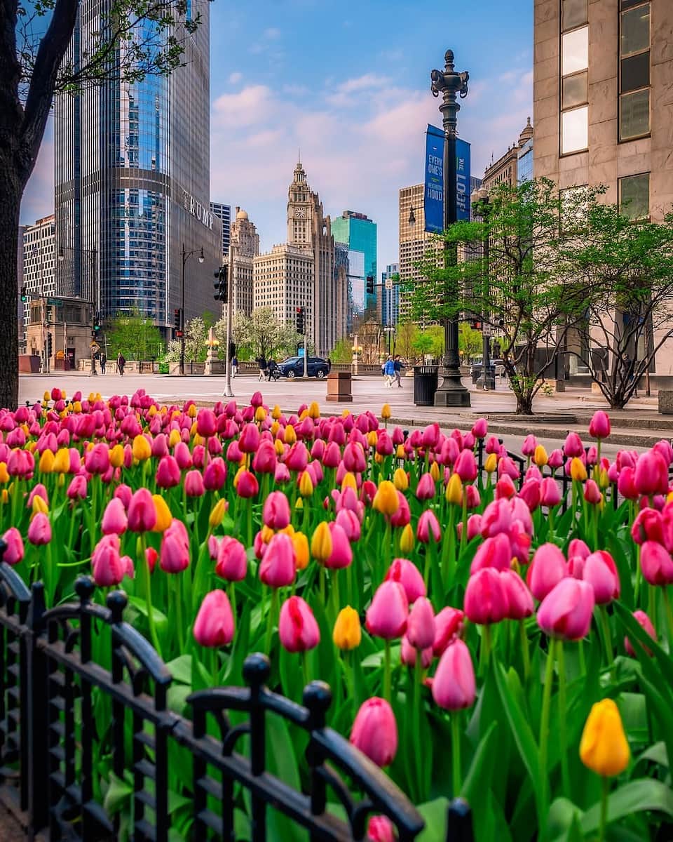 Michigan Avenue, Chicago Michigan Avenue, Chicago