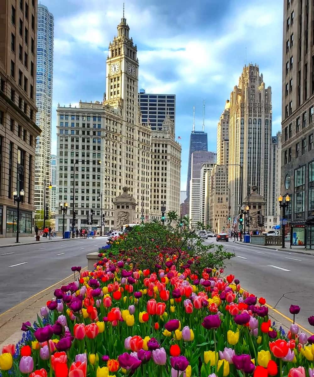 Michigan Avenue, Chicago Michigan Avenue, Chicago