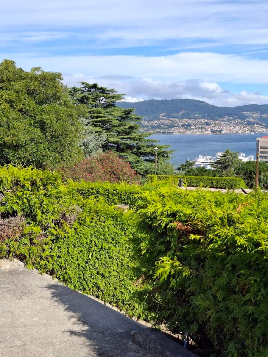 Mirador Olivia, Galicia