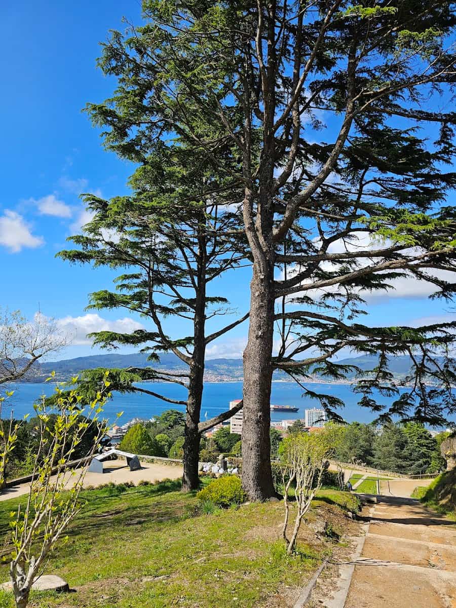 Mirador Olivia, Galicia