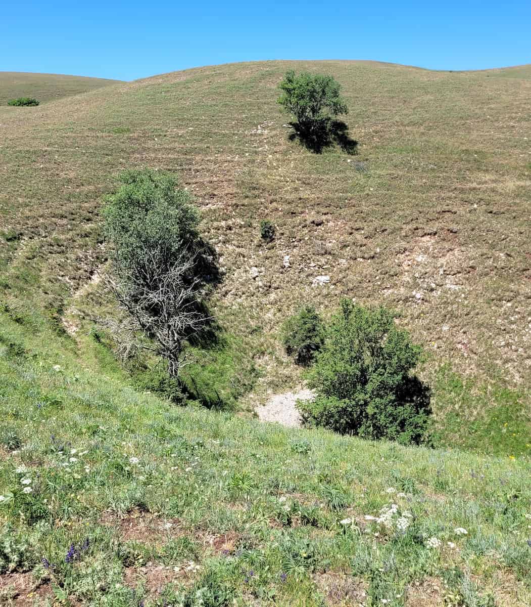 Mortaro Grande Umbria Mortaro Grande Umbria