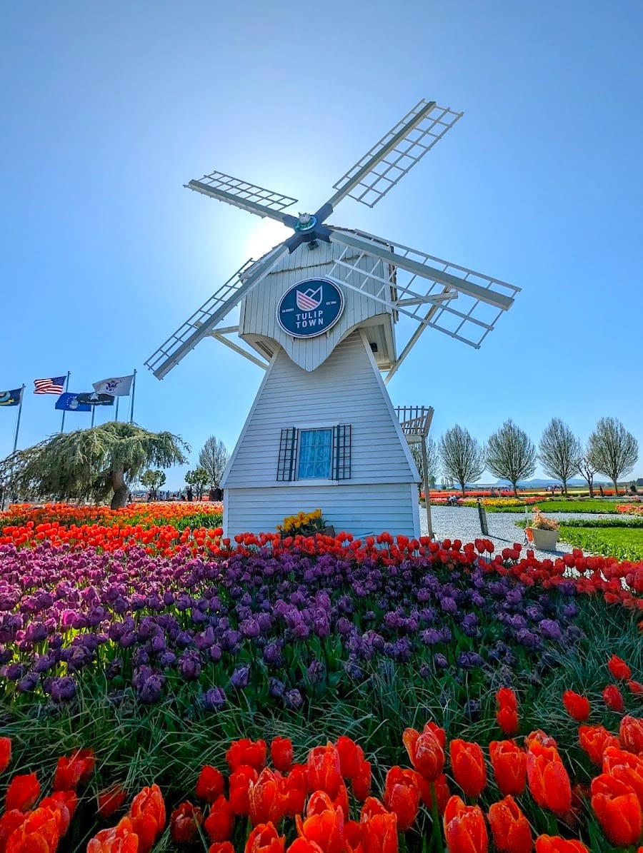 Mount Vernon, Washington