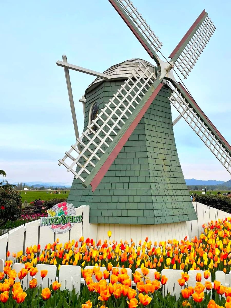 Mount Vernon, Washington