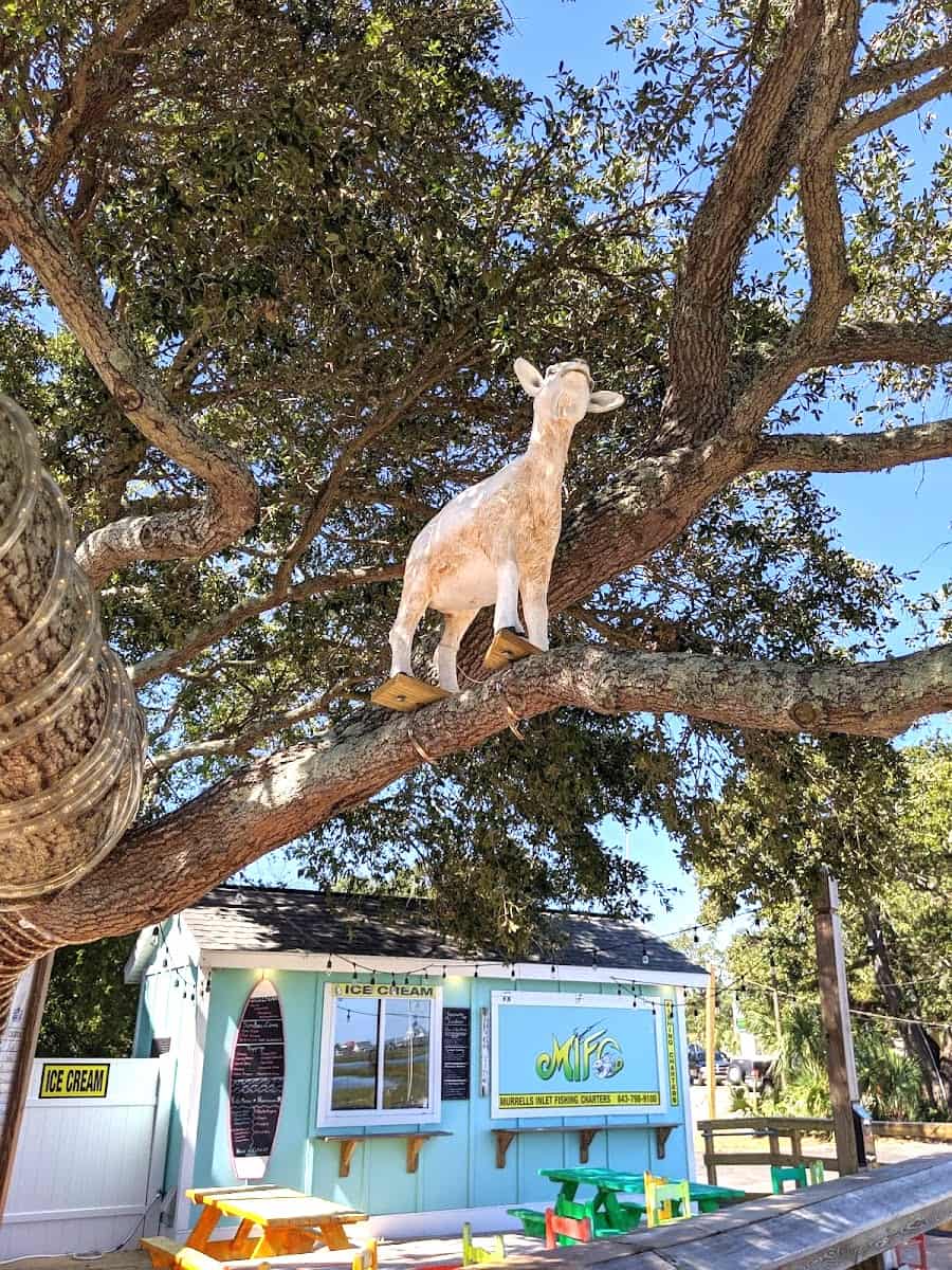 Murrells Inlet MarshWalk, Myrtle Beach, SC Murrells Inlet MarshWalk, Myrtle Beach, SC