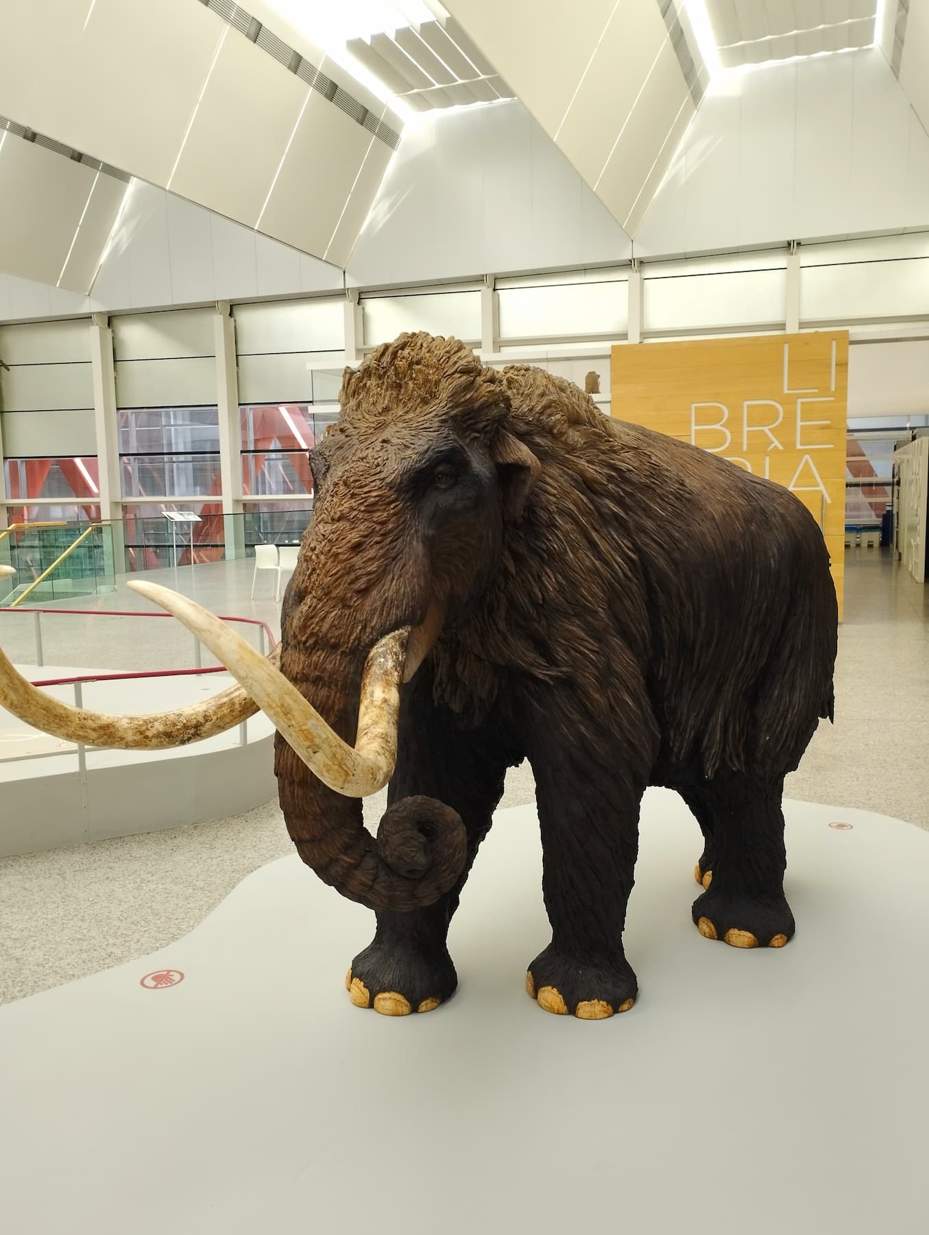 Museum of Human Evolution, Burgos