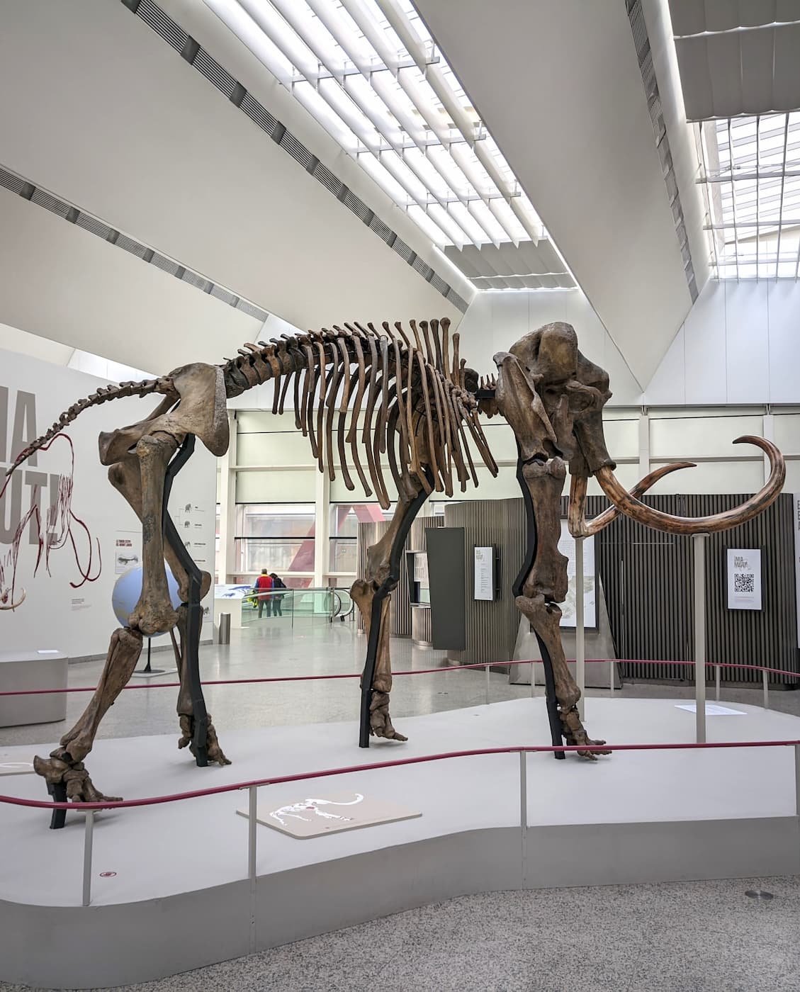 Museum of Human Evolution, Burgos