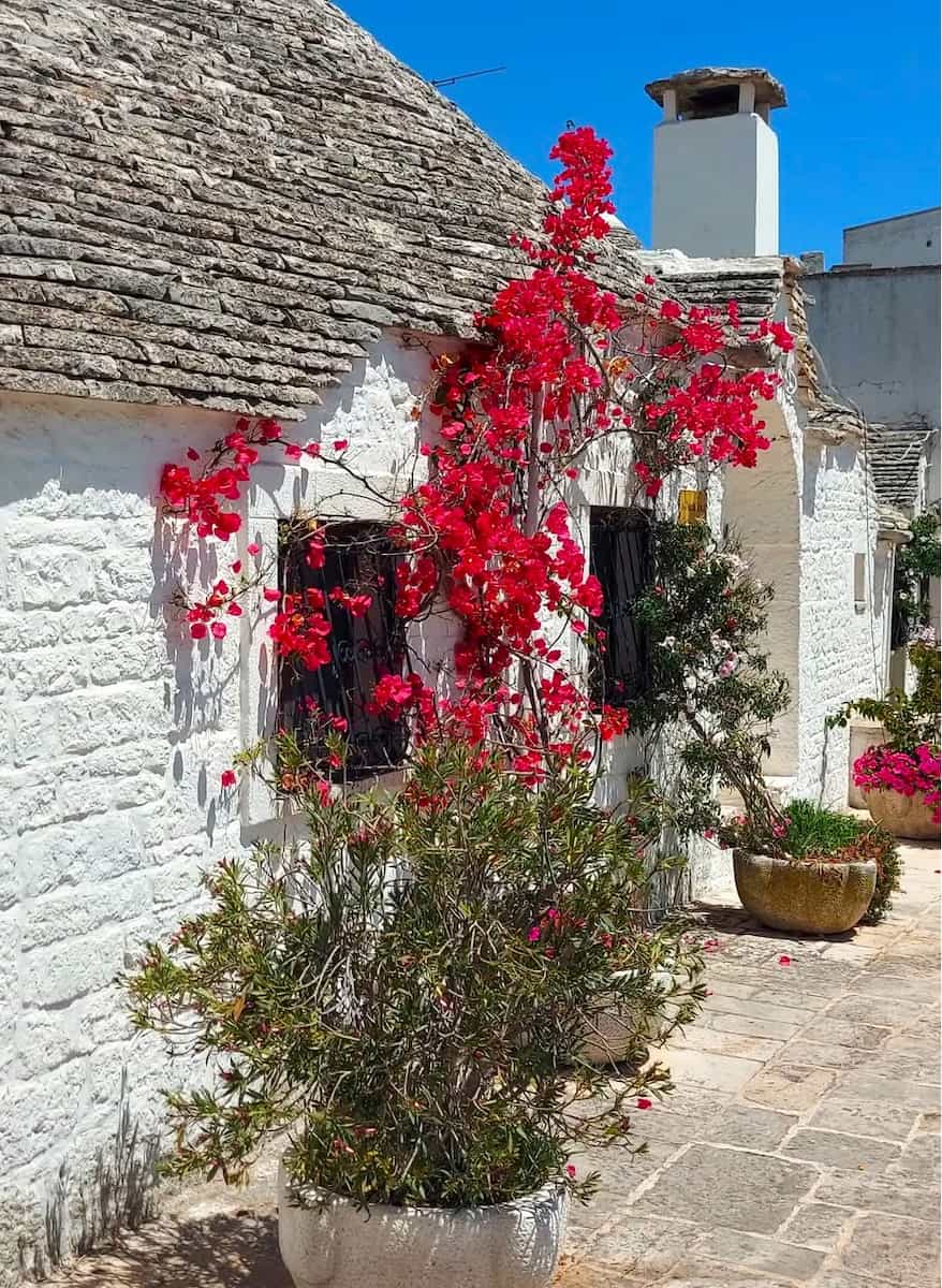 Museum House Pezzolla, Alberobello