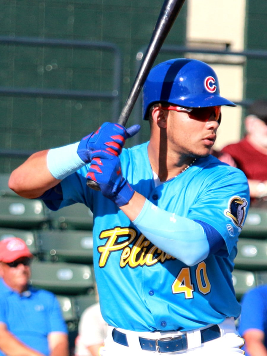 Myrtle Beach Pelicans Baseball, Myrtle Beach, SC Myrtle Beach Pelicans Baseball, Myrtle Beach, SC