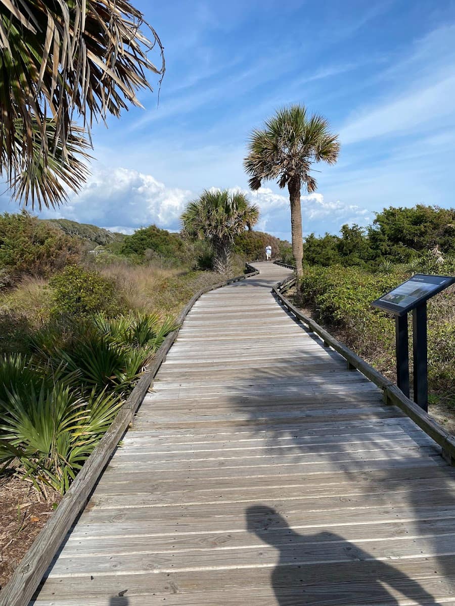 Myrtle Beach State Park, Myrtle Beach, SC Myrtle Beach State Park, Myrtle Beach, SC
