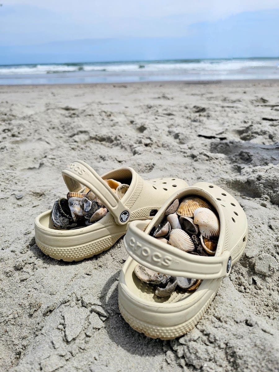 Myrtle Beach State Park, Myrtle Beach, SC Myrtle Beach State Park, Myrtle Beach, SC