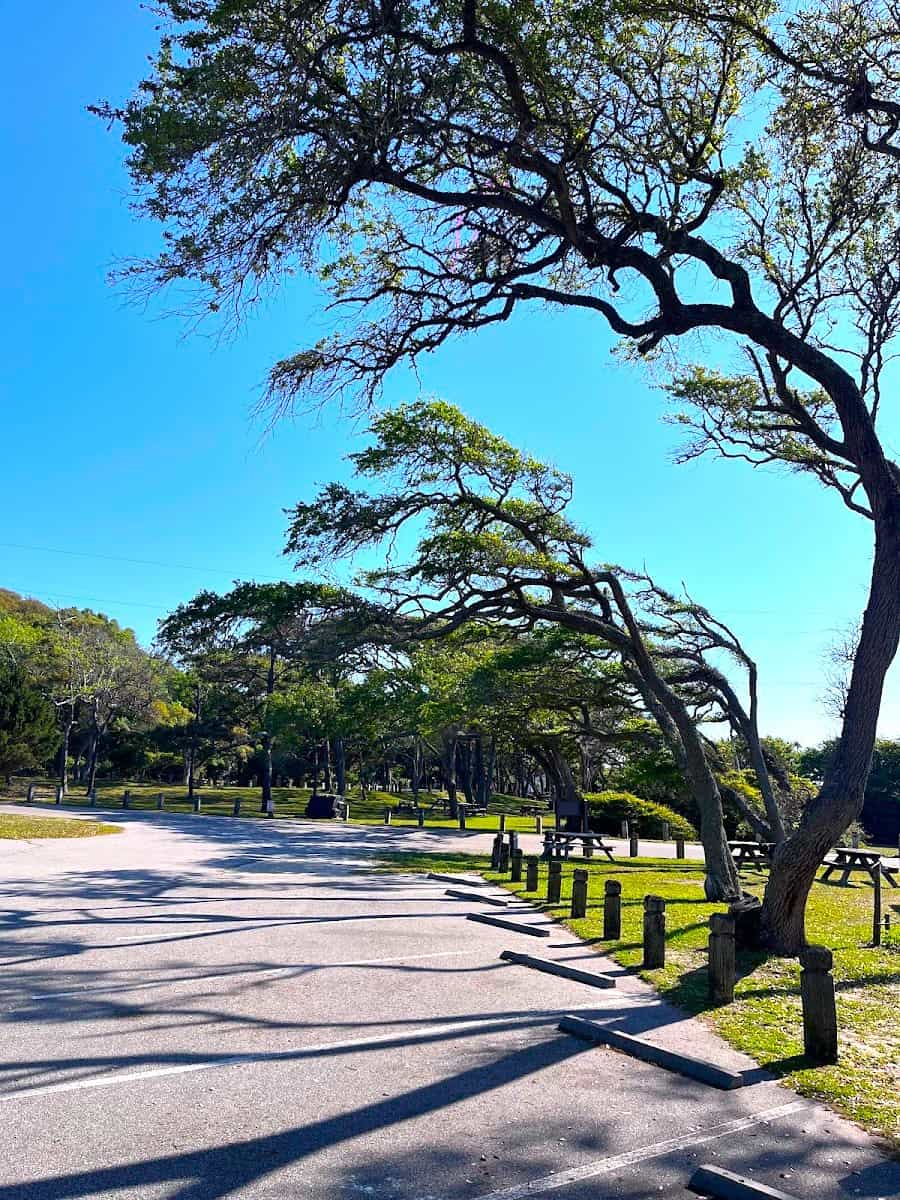 Myrtle Beach State Park, Myrtle Beach, SC Myrtle Beach State Park, Myrtle Beach, SC