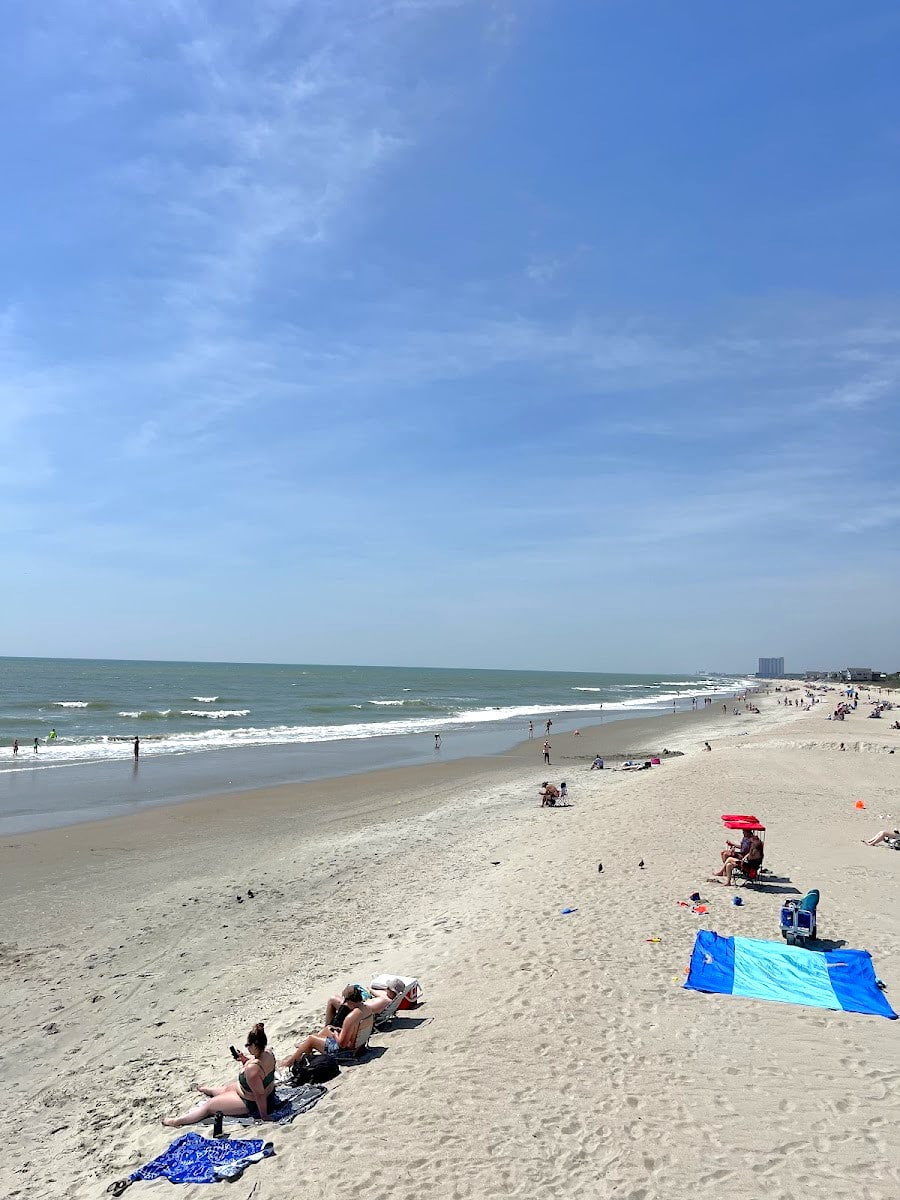 Myrtle Beach State Park, Myrtle Beach, SC Myrtle Beach State Park, Myrtle Beach, SC