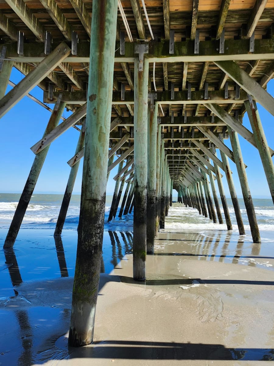 Myrtle Beach State Park, Myrtle Beach, SC Myrtle Beach State Park, Myrtle Beach, SC