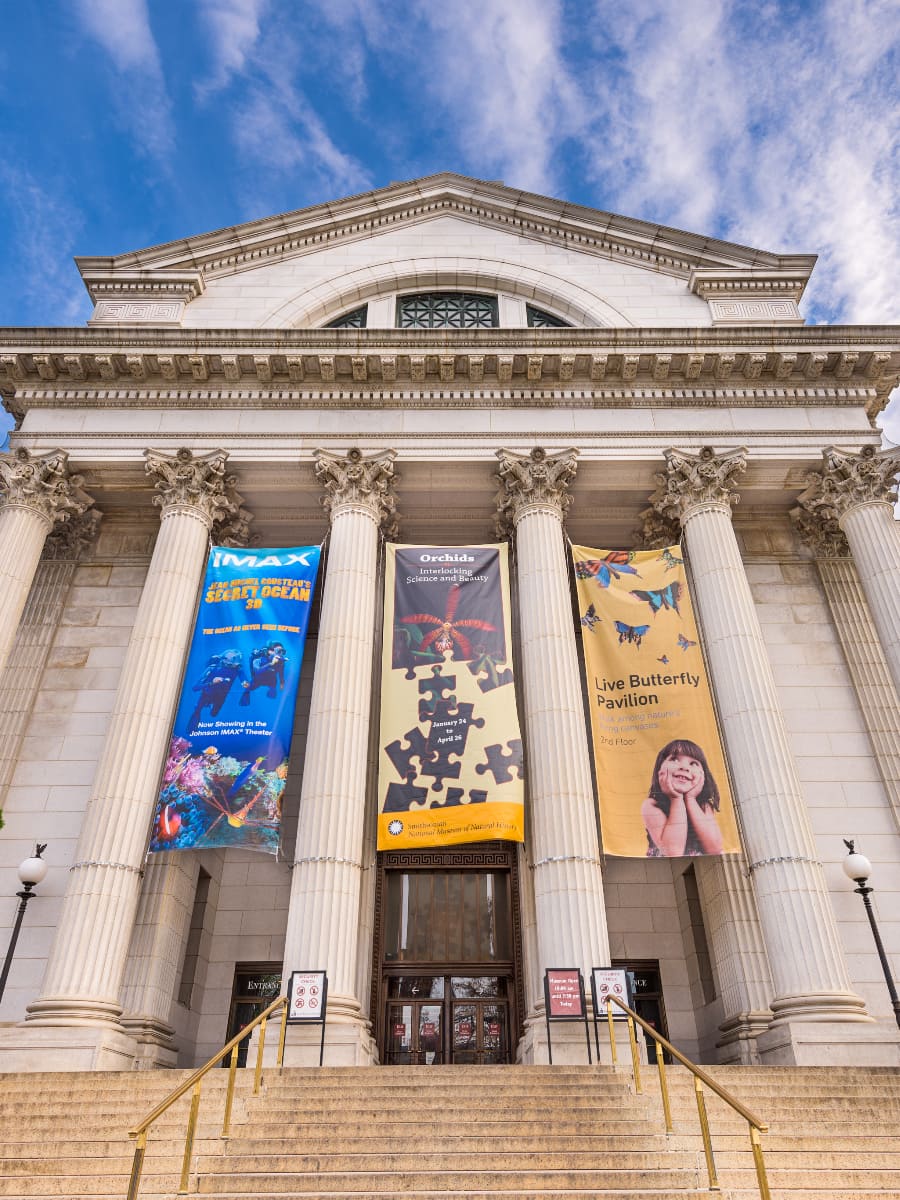 National Museum of Natural History, Washington DC