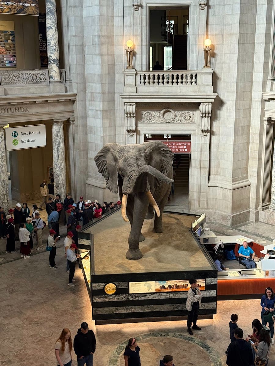 Inside of National Museum of Natural History, Washington DC