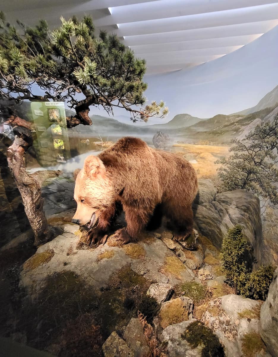 Natural History Museum Kristiansand