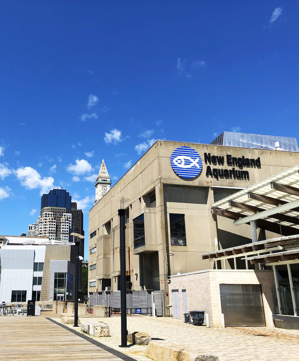 New England Aquarium, Boston New England Aquarium, Boston