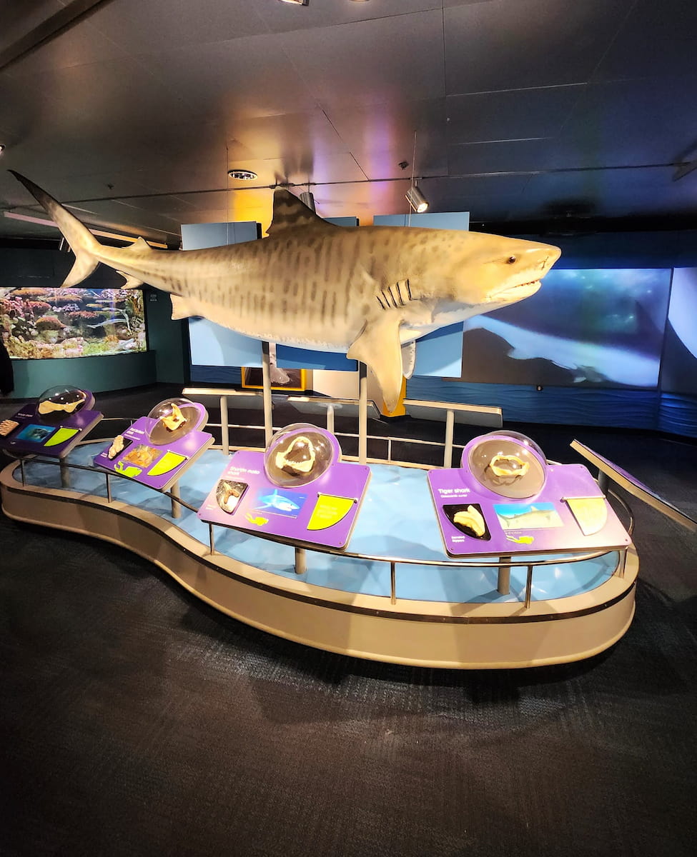 Exhibits, New England Aquarium New England Aquarium, Boston