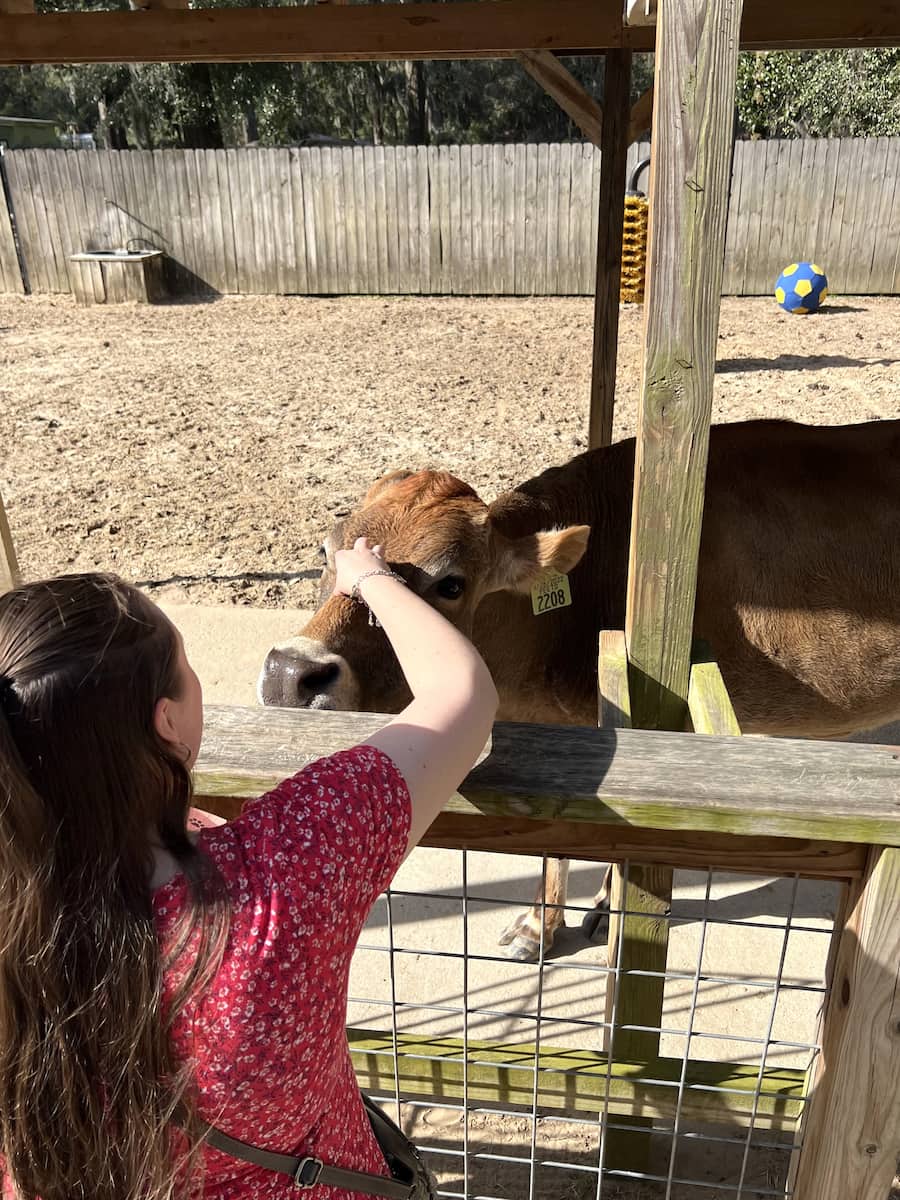 Oatland Island Wildlife Center Savannah Oatland Island Wildlife Center Savannah