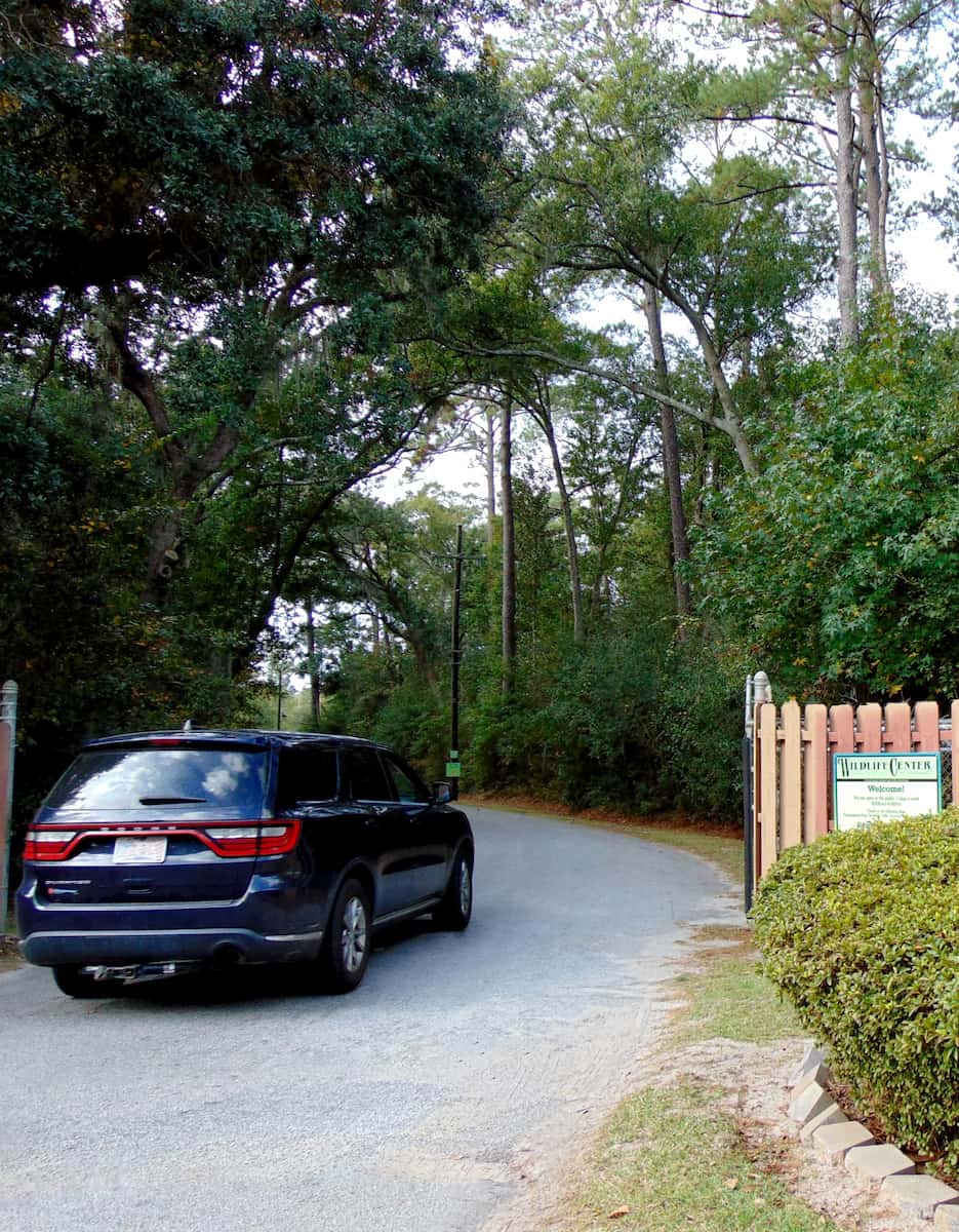 Oatland Island Wildlife Center Savannah Oatland Island Wildlife Center Savannah