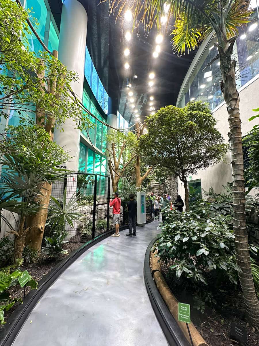 Orlando Science Center Orlando Science Center