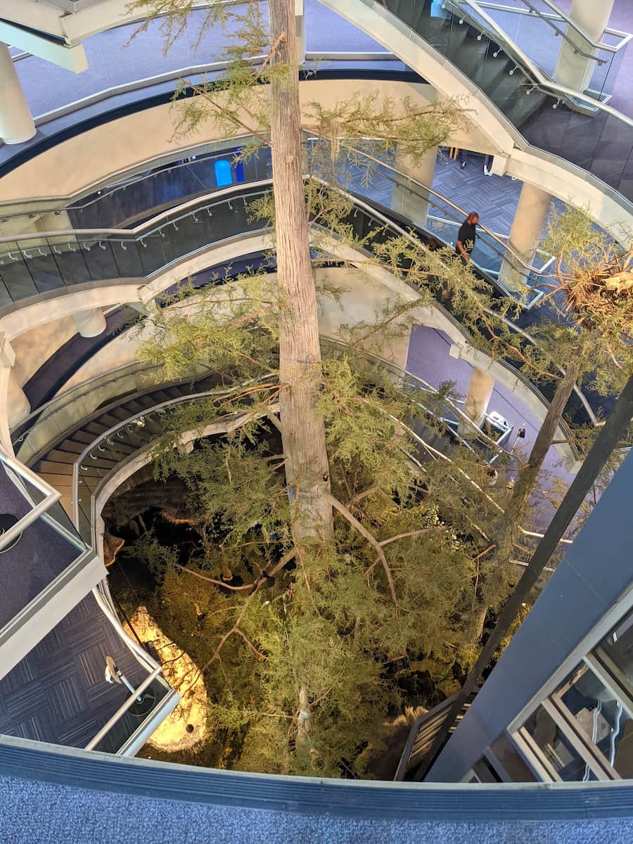 Orlando Science Center Orlando Science Center