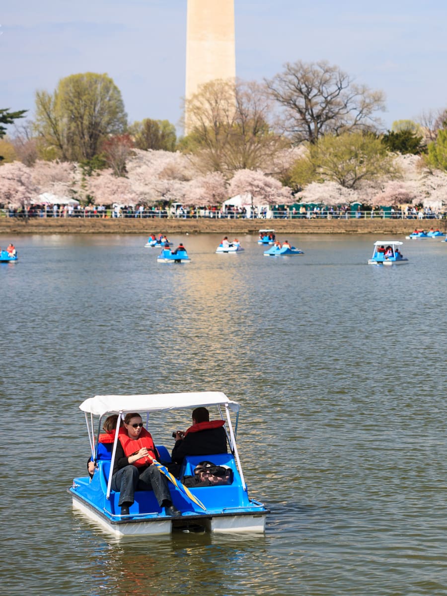 Paddle boats on the Tidal Basin, Washington DC