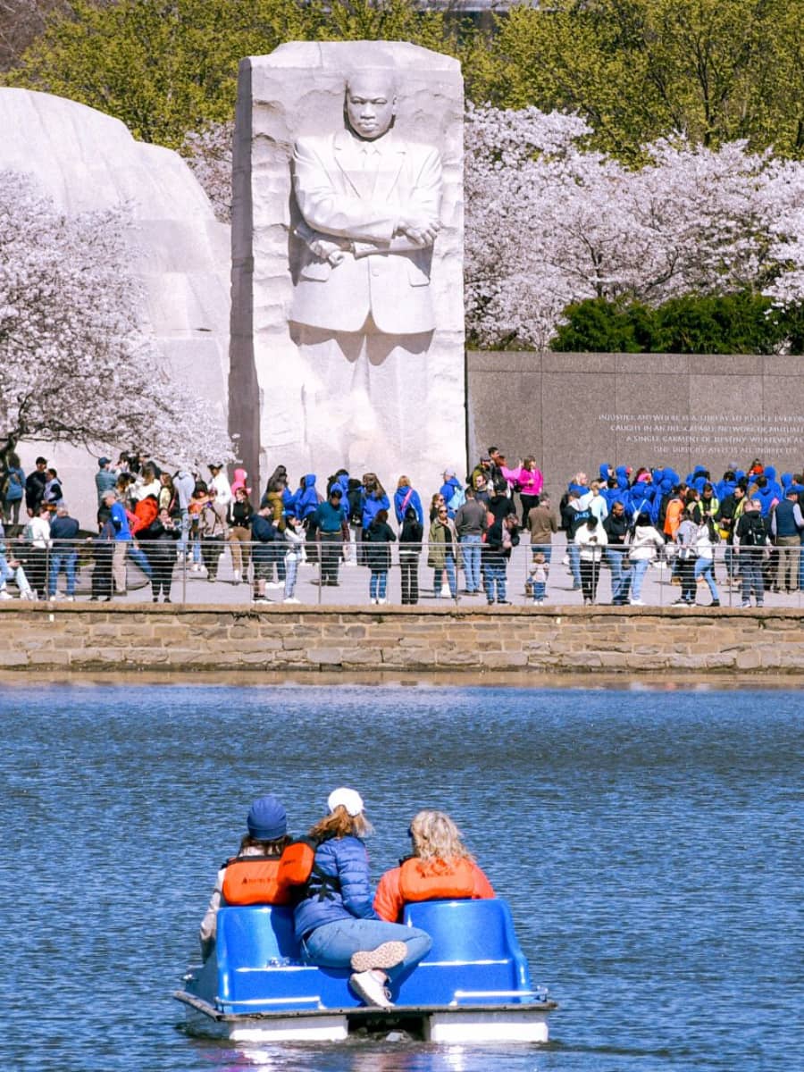 Paddle boats on the Tidal Basin, Washington DC