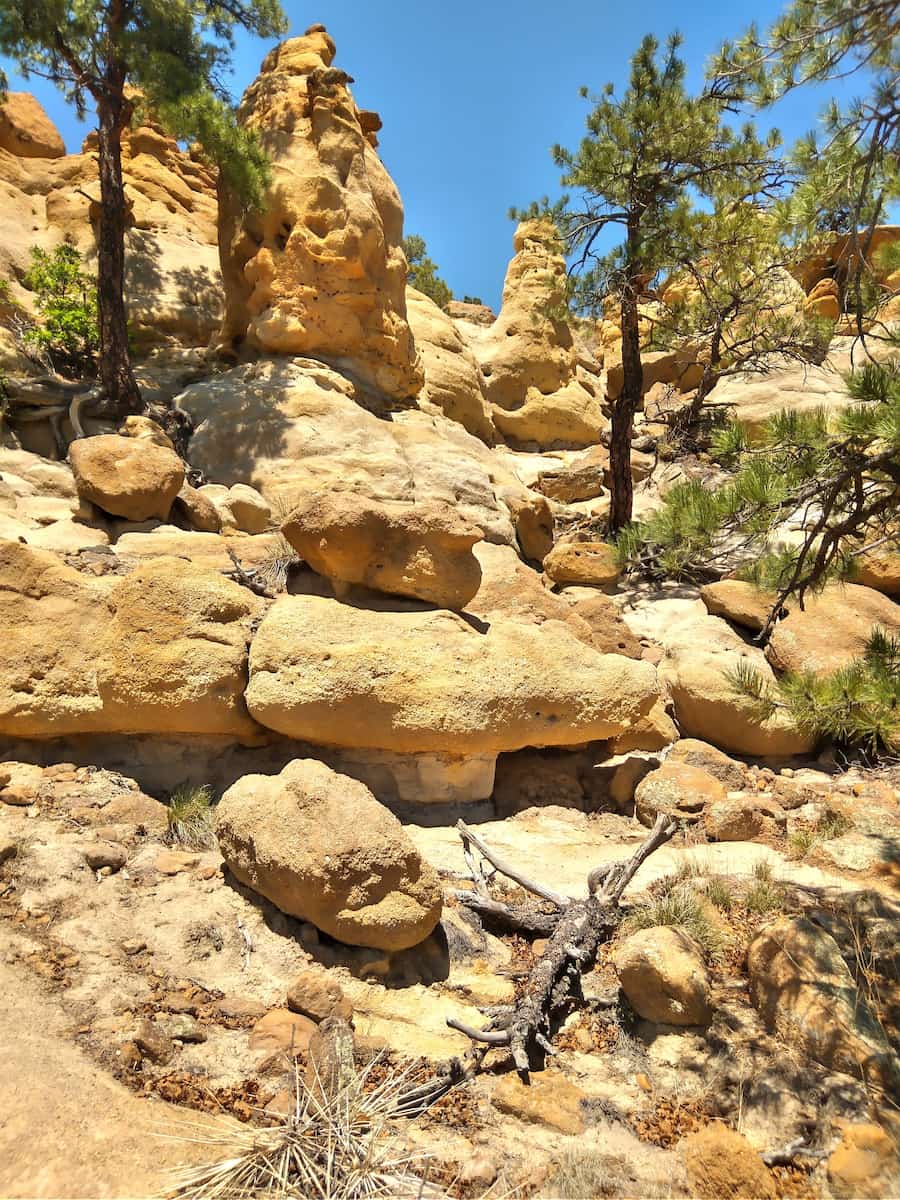 Palmer Park Colorado Springs Palmer Park Colorado Springs