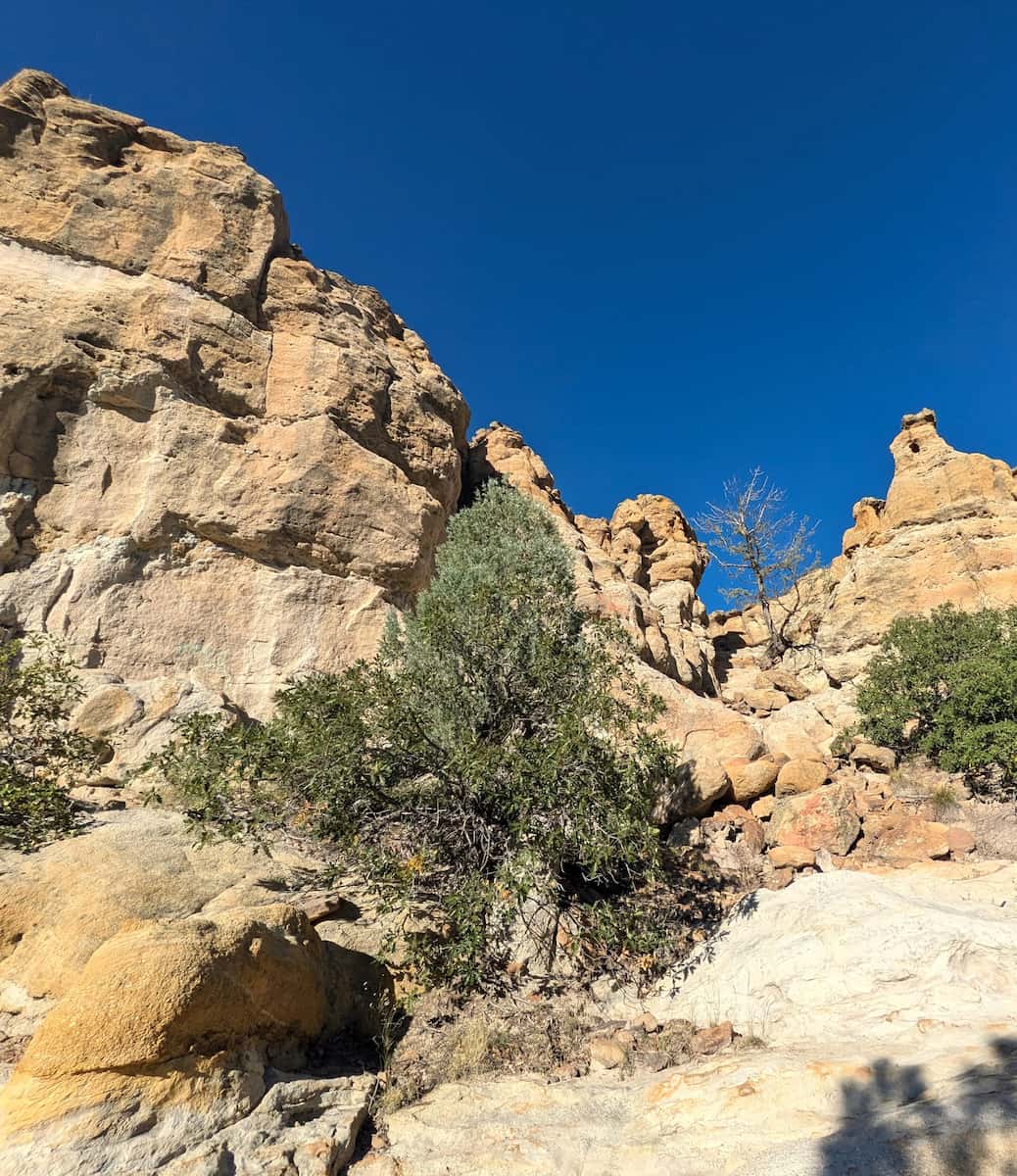 Palmer Park Colorado Springs Palmer Park Colorado Springs
