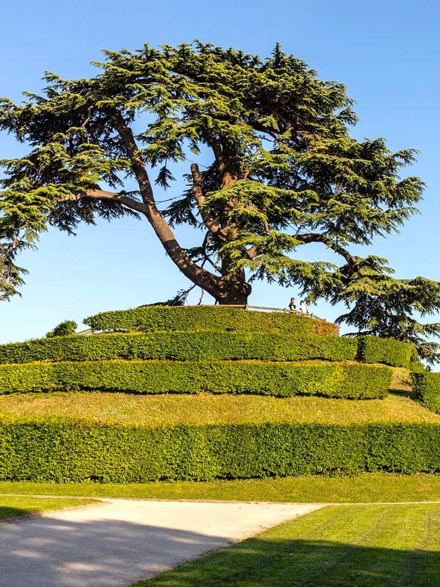 Parc Michel d'Ornano, Caen Parc Michel d'Ornano, Caen