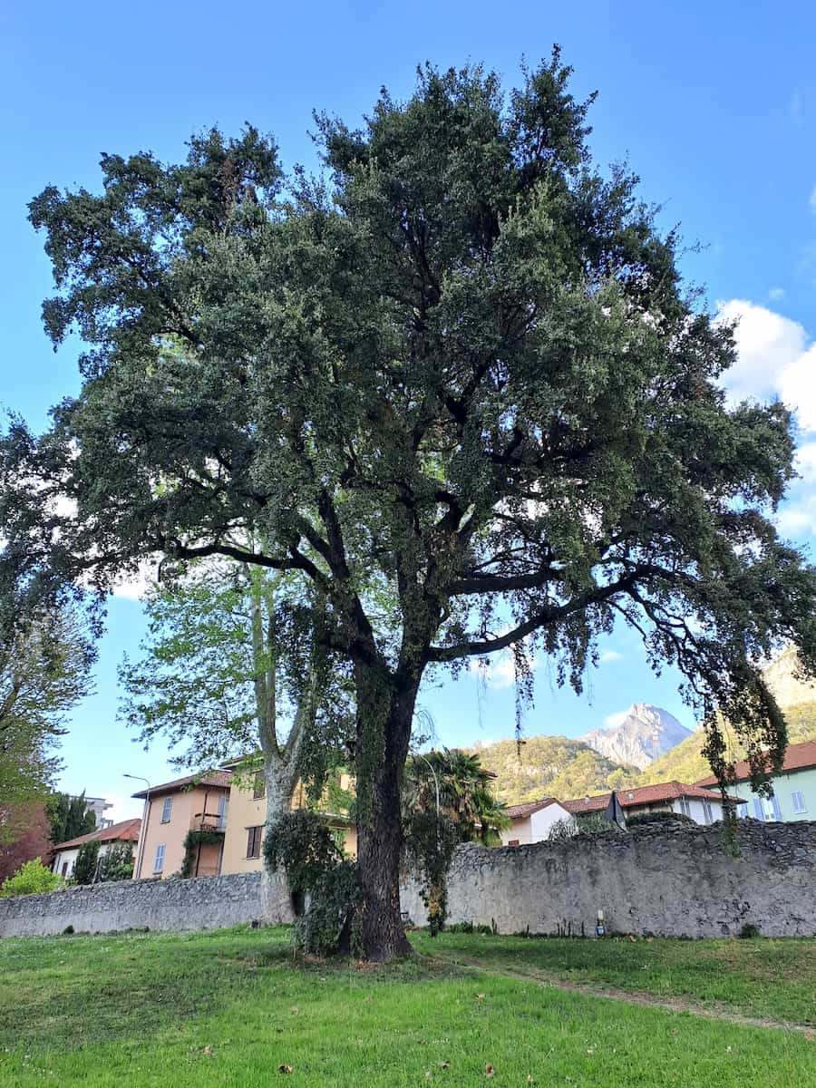 Parco di Villa Gomes Lecco Parco di Villa Gomes Lecco