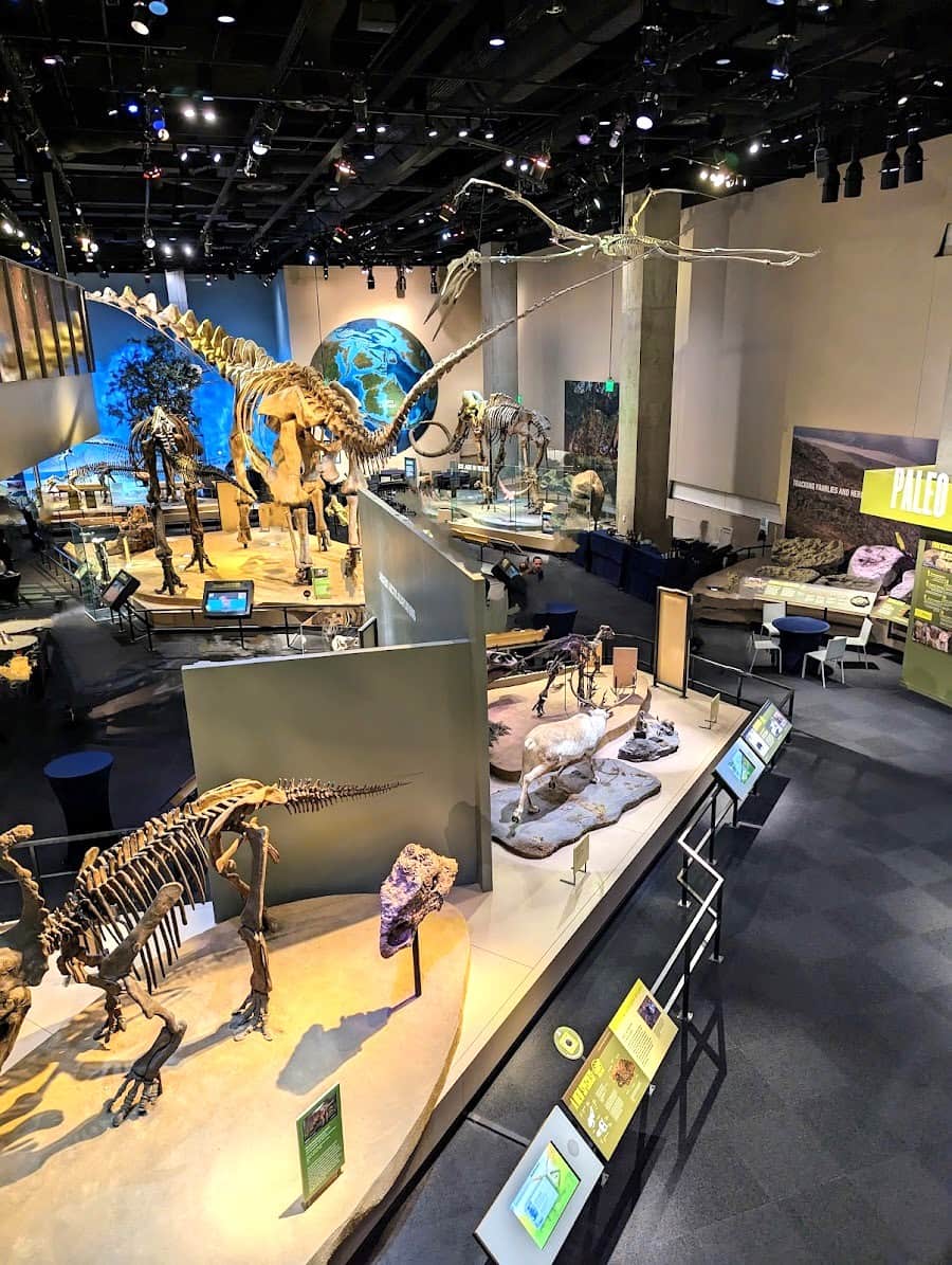 Perot Museum of Nature and Science, Dallas Perot Museum of Nature and Science, Dallas