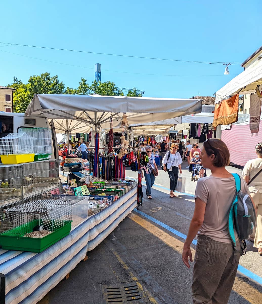 Piazza dei Signori, Treviso