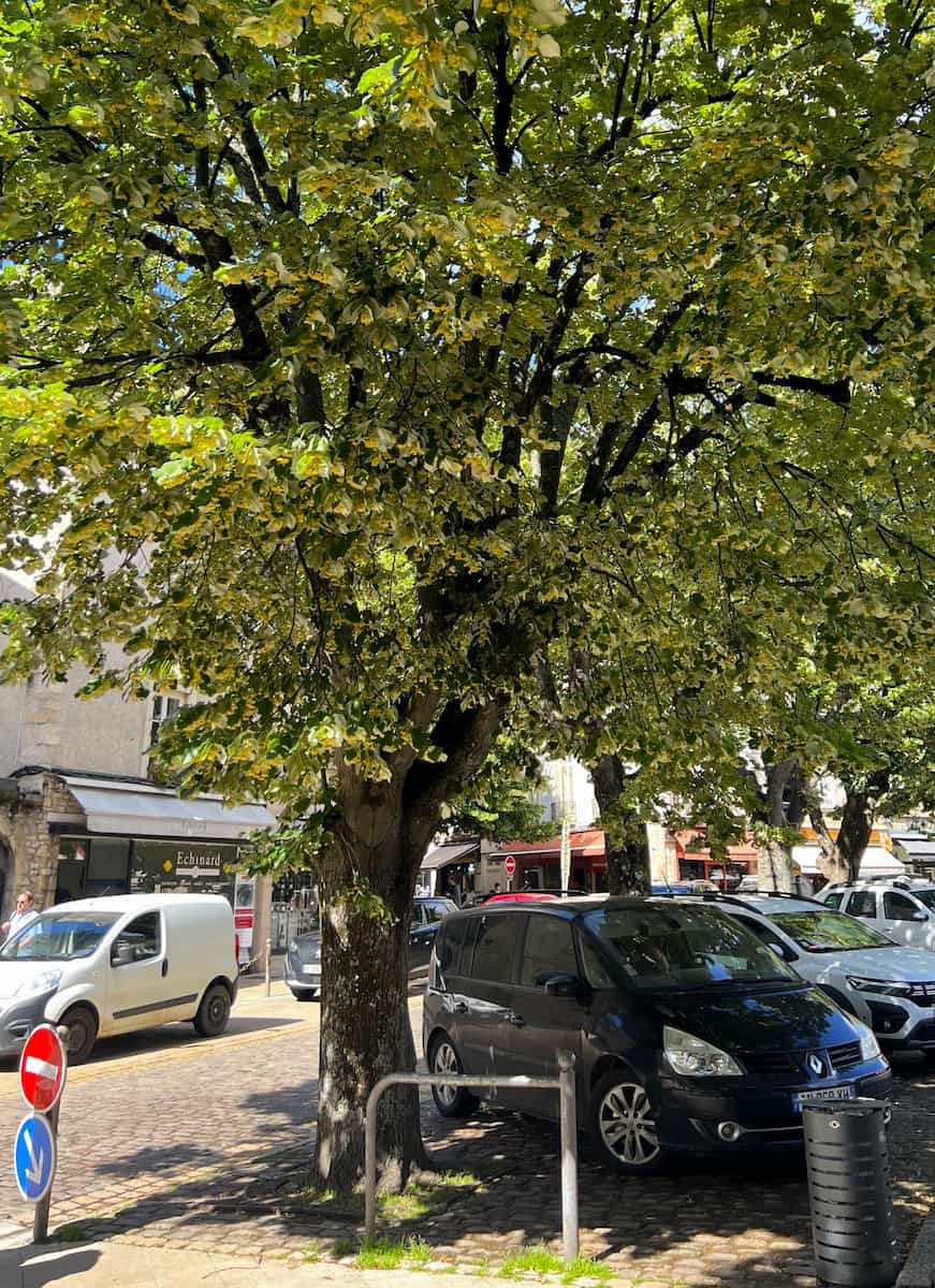 Place Carnot Carousel, Beaune