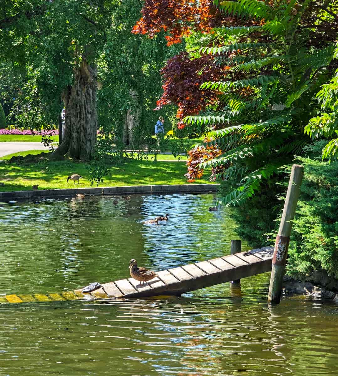 Public Garden, Boston Public Garden, Boston