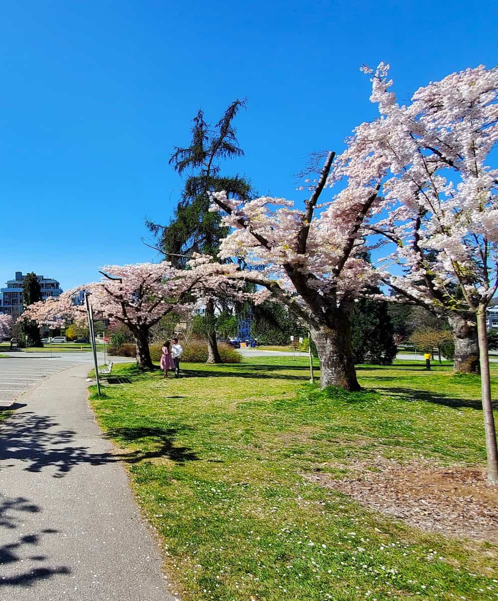 Queen Elizabeth Park, Vancouver Queen Elizabeth Park, Vancouver