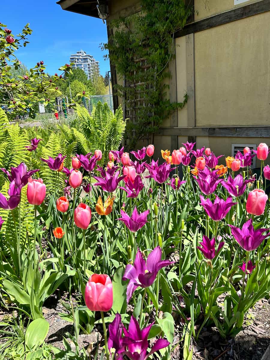 Queen Elizabeth Park, Vancouver Queen Elizabeth Park, Vancouver
