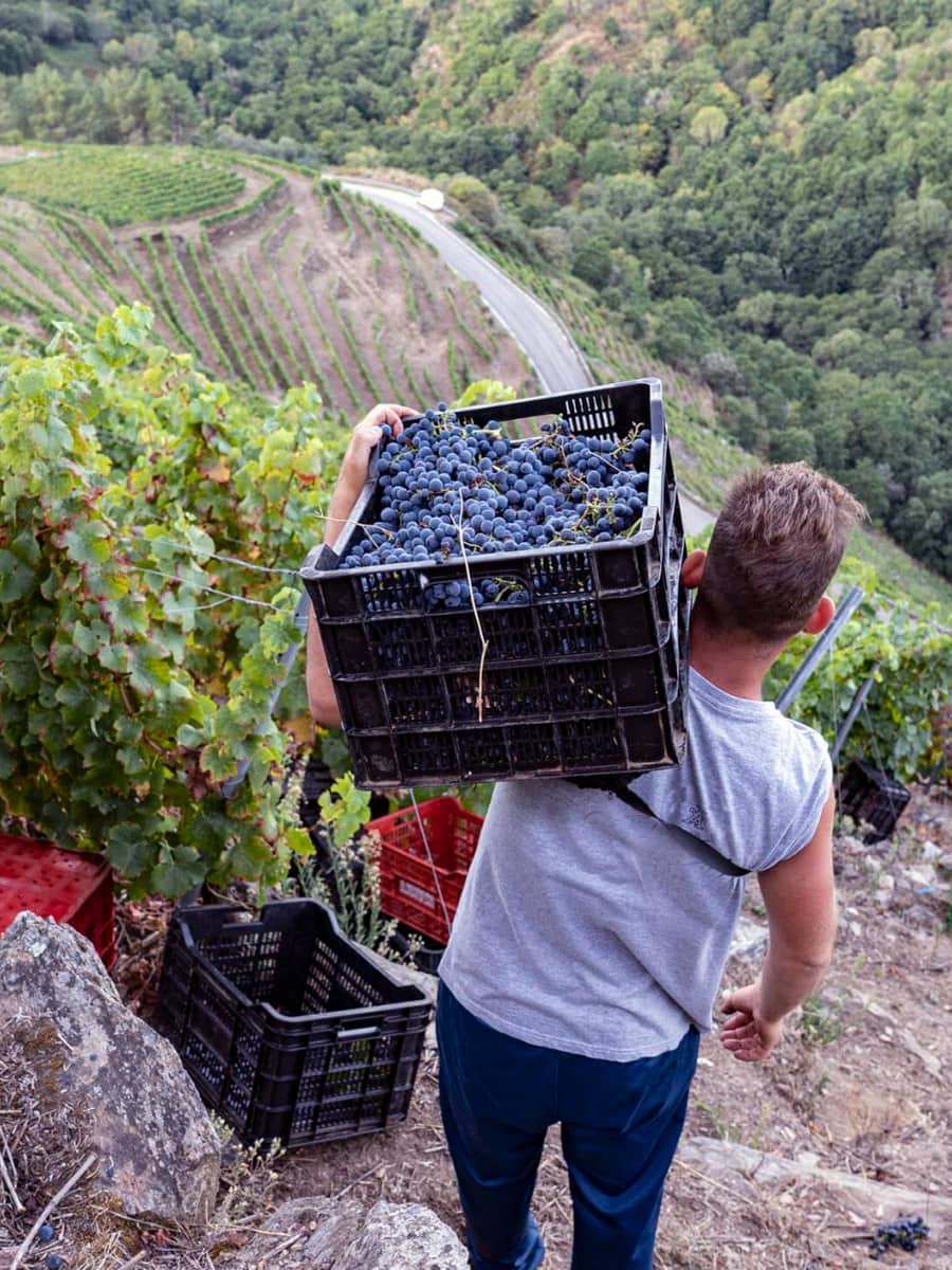 Ribeira Sacra, Galicia
